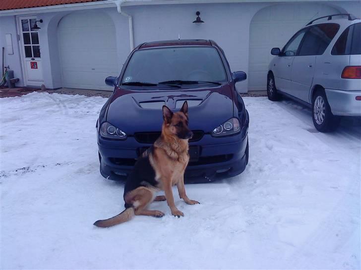 Opel corsa B  DØD :'/ billede 1