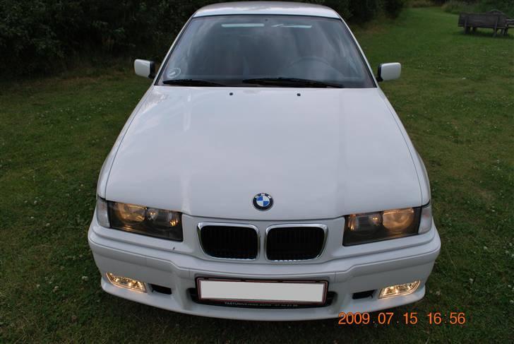 BMW 323ti billede 6