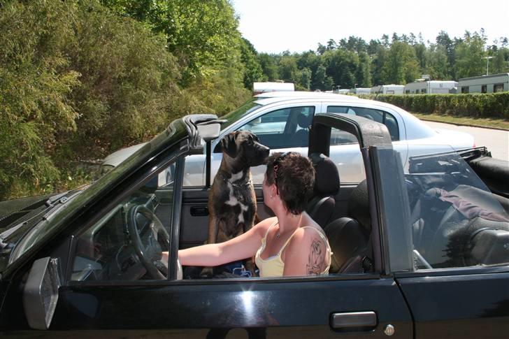 Ford Escort Cab (SOLGT) - Freja og mig på udflugt :) billede 19