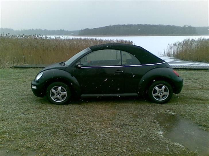 VW New Beetle Cabriolet TDI billede 3