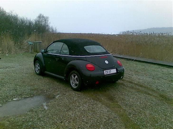 VW New Beetle Cabriolet TDI billede 4