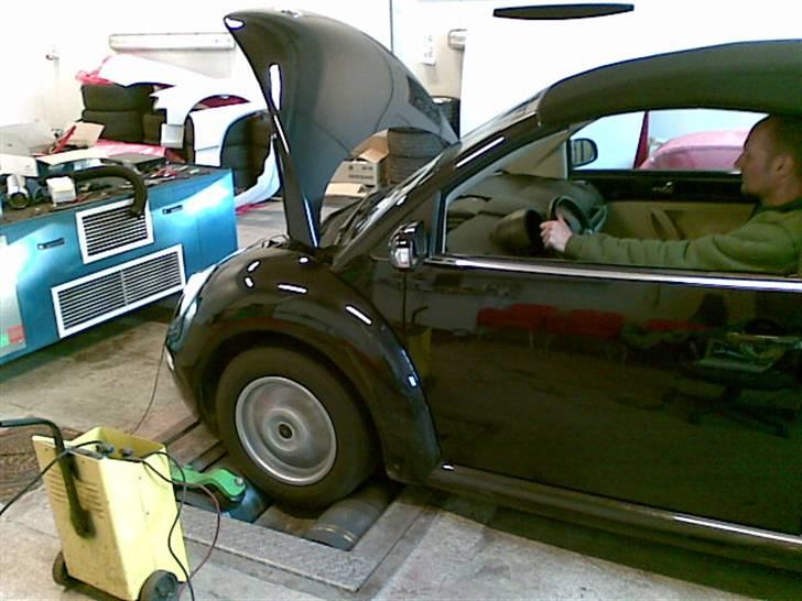 VW New Beetle Cabriolet TDI billede 6