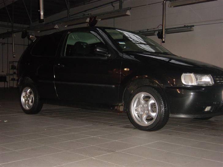 VW Polo 6N - Hvad siger i lige til den højde... der skal sgu gevind på :) billede 6