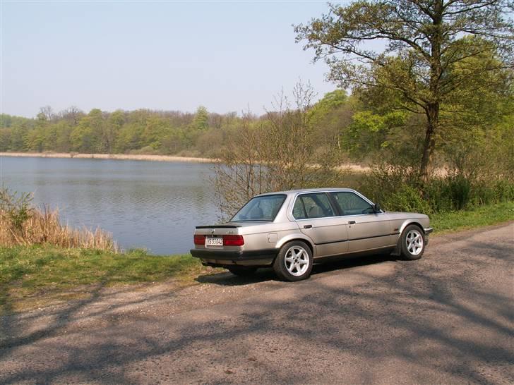 BMW e30 323i Limousine billede 2