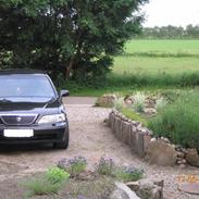 Honda Legend ( SOLGT )