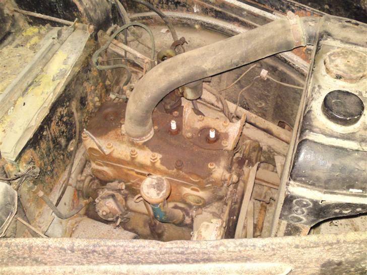 Austin ten billede 3