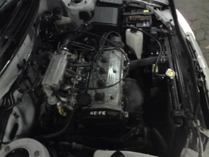 Toyota Corolla-Galla SOLGT billede 13