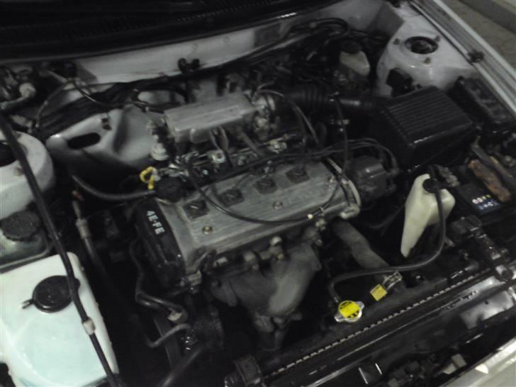 Toyota Corolla-Galla SOLGT billede 15