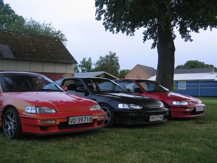 Honda Crx Vtec - 3 på stribe billede 3