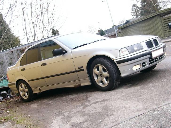 BMW 316 e36 =bytte til ford = - med oz alu i 15" med vinterdæk billede 4