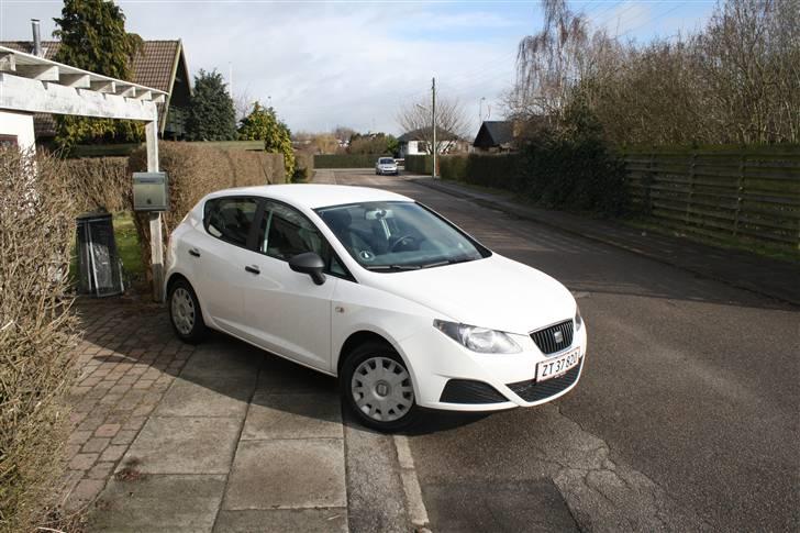 Seat Ibiza billede 2