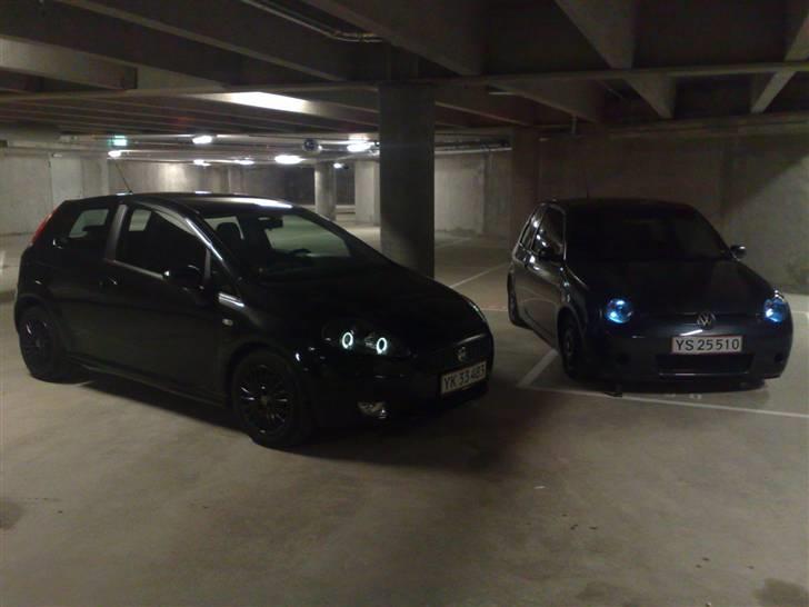 Fiat Grande Punto "Død i skybrud" :( - Dyret sammen med en lupo.. billede 12