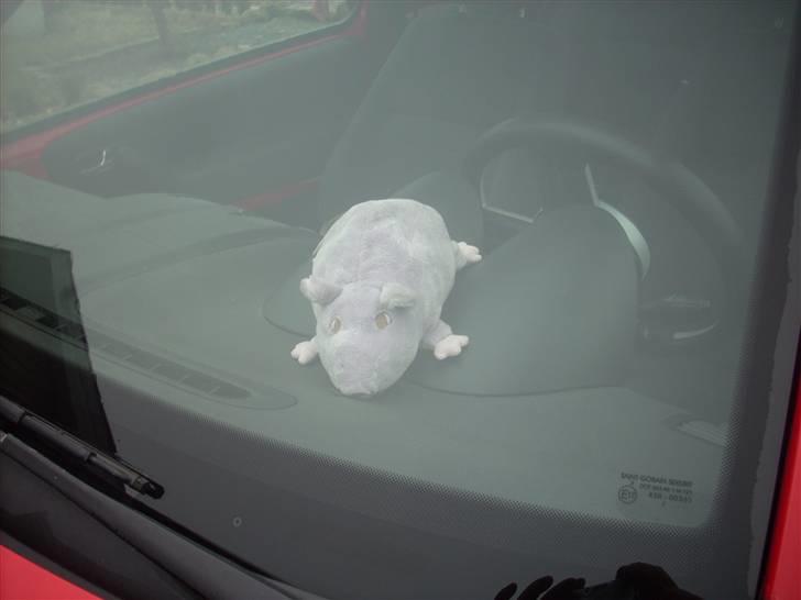 VW LUPO 3L TDI - min dejlige Rotto ;o) billede 6