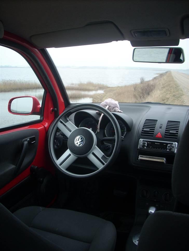 VW LUPO 3L TDI - det er dejligt med alt den plads foran, et lille minus er bare at der ikke er en hanske rum, til ens private ting billede 13