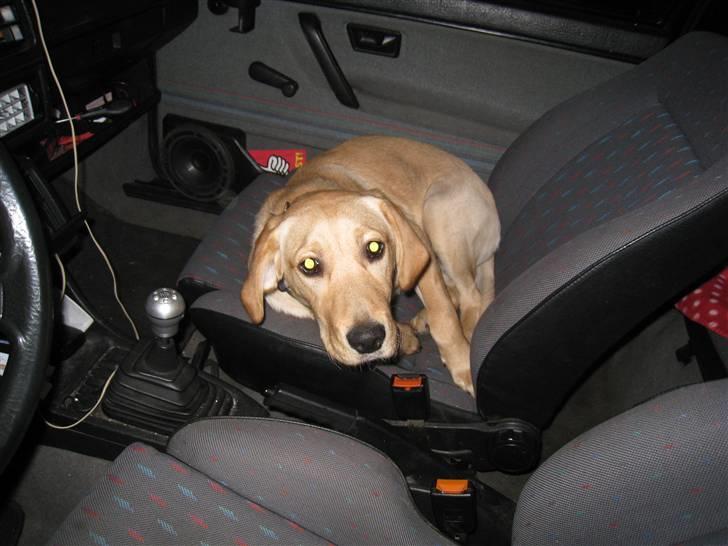 VW Golf ll  *solgt* billede 3