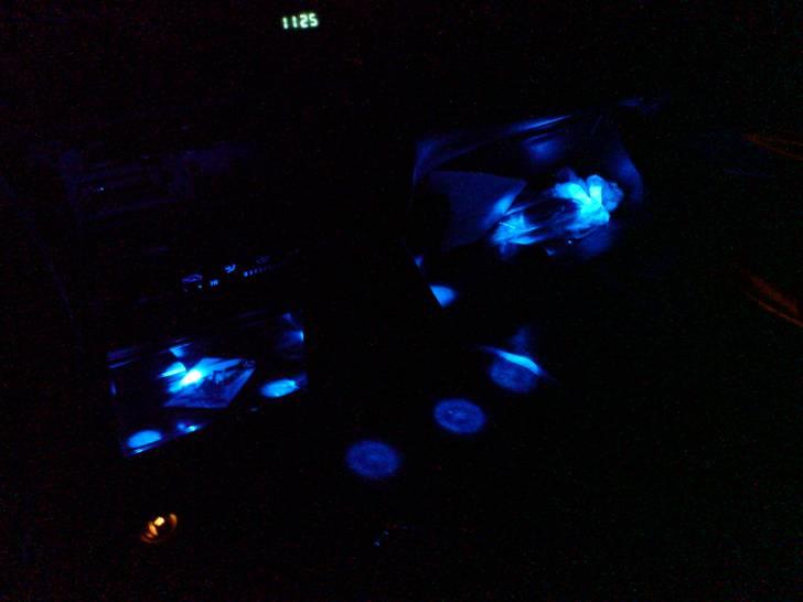 Toyota corolla E10 billede 8