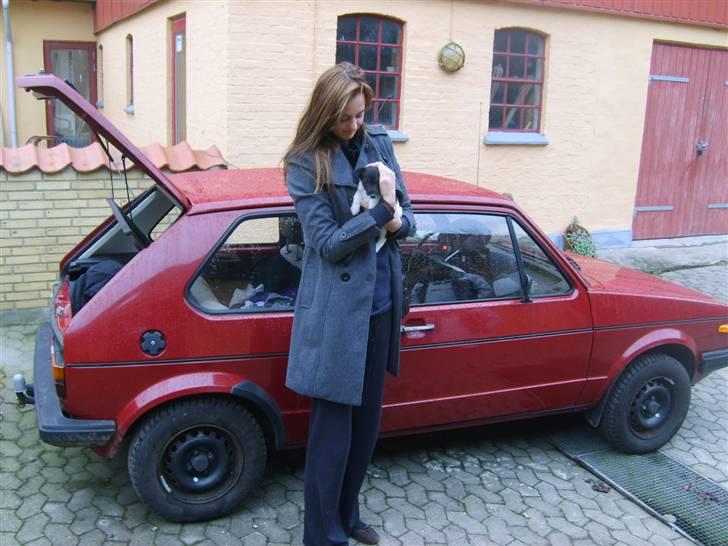 VW Golf 1 - nyere billed af ejer, hund og Golf´en med vintersutter på. ret så flot hvis jeg selv skal sige det.. billede 7