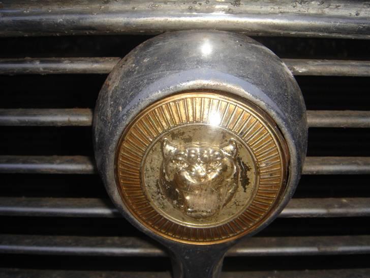 Jaguar XJ6 billede 10