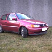 VW Polo 6n [Tidl Bil]