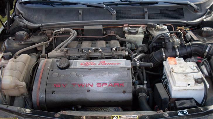 Alfa Romeo 155  - En ren dyrket Boxer motor...  billede 4