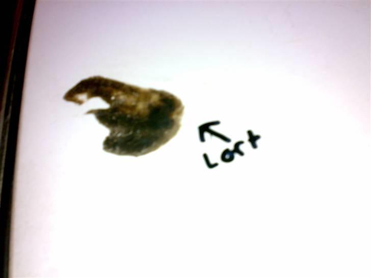 Toyota Carina solgt billede 8