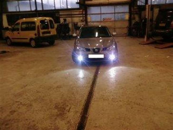 Seat Ibiza ... SOLGT - xonen i tågelygter. billede 14