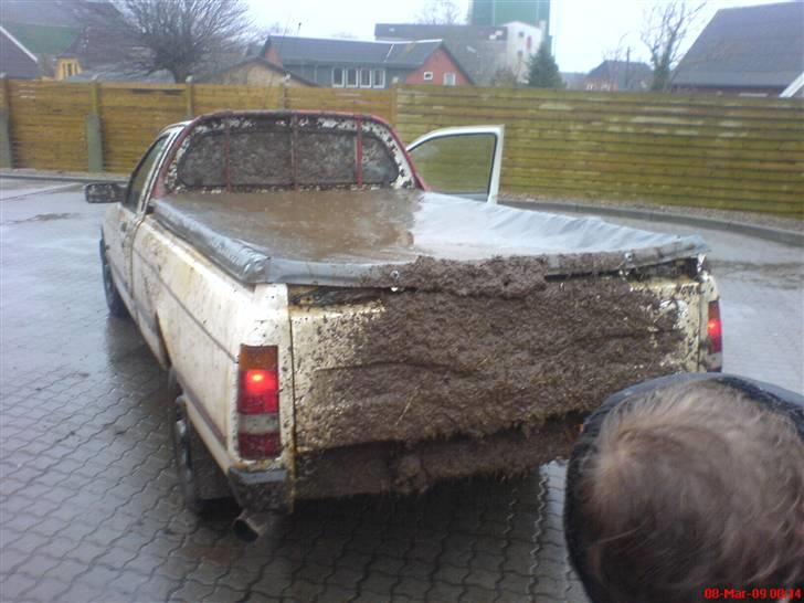 Ford P100 - Dead and Gone billede 17