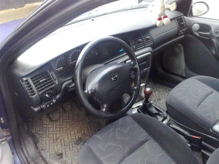 Opel vectrab 2,5 v6 solgt billede 4