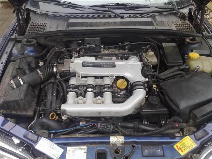 Opel vectrab 2,5 v6 solgt billede 5