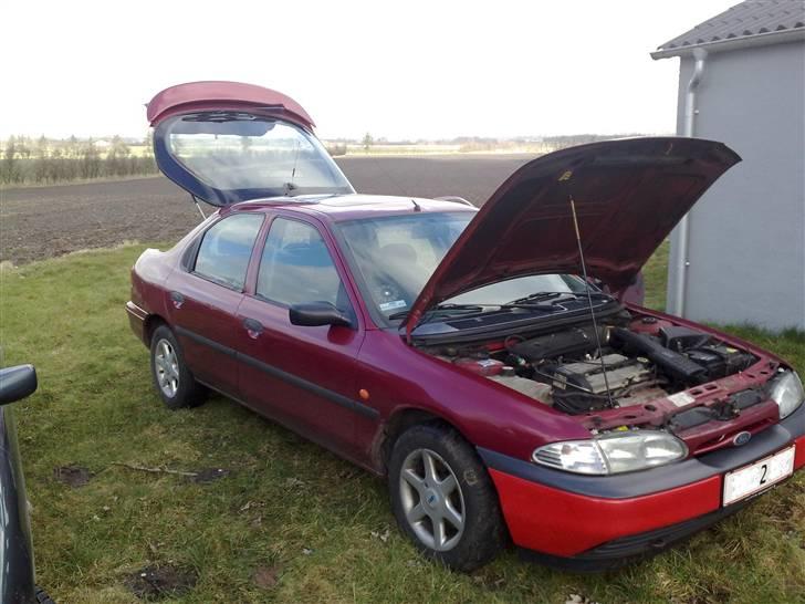 Ford mondeo R.I.P billede 1