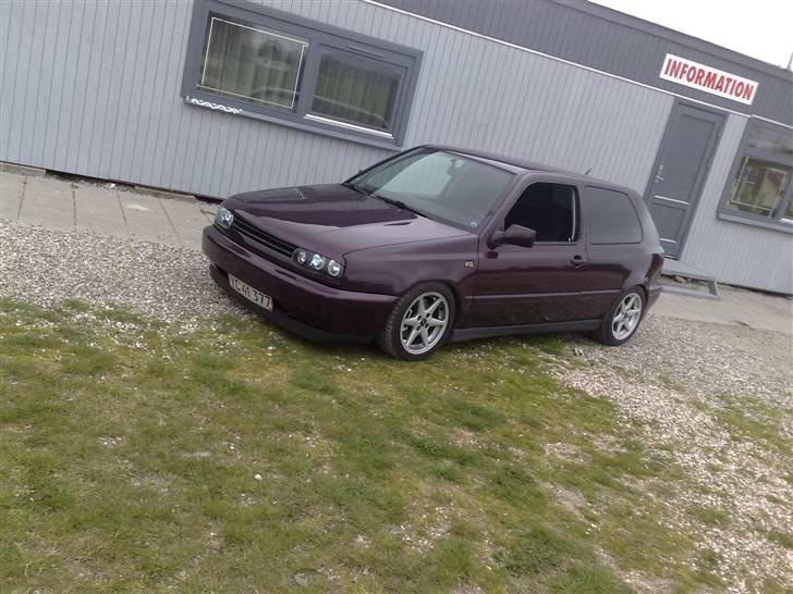 VW Golf Mk III 1.8 *Low*  billede 6