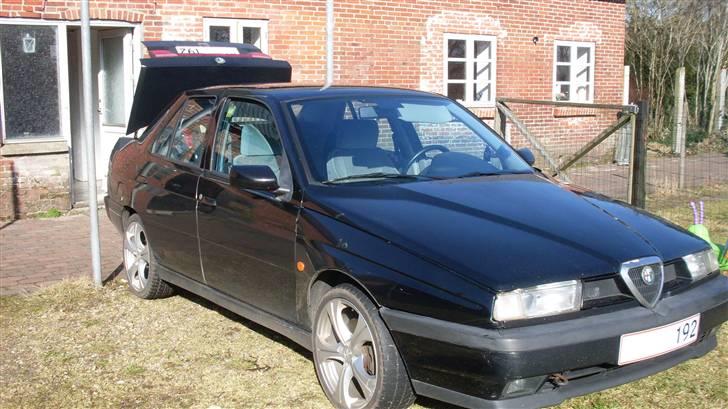 Alfa Romeo 155  billede 12
