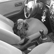 Nissan Primera 1,6 DØD:'(