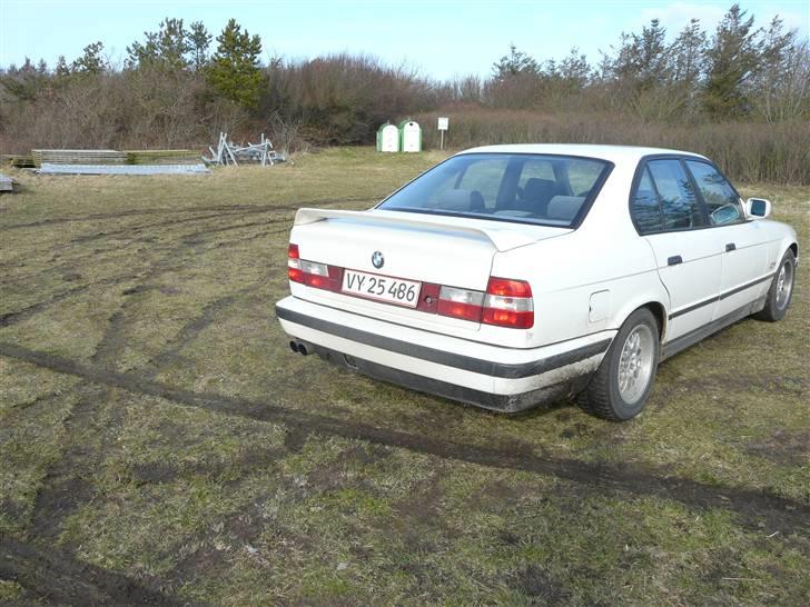 BMW 525nakket tilbag af samiD billede 2