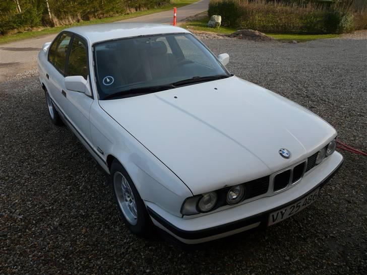 BMW 525nakket tilbag af samiD billede 4