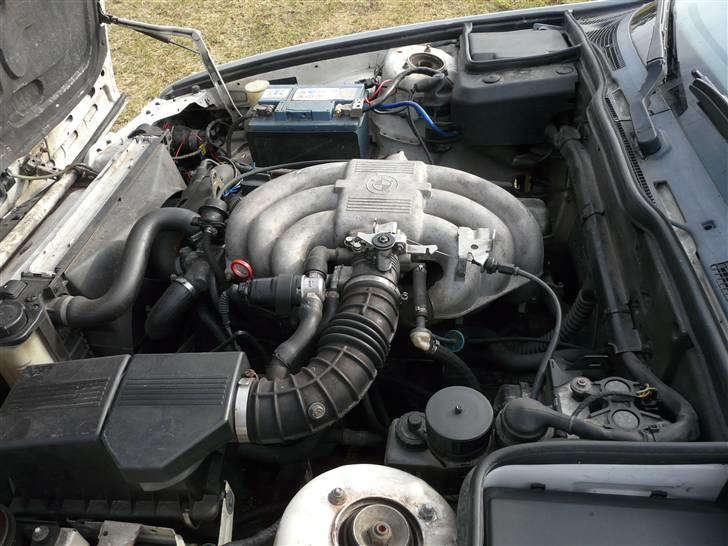 BMW 525nakket tilbag af samiD billede 6