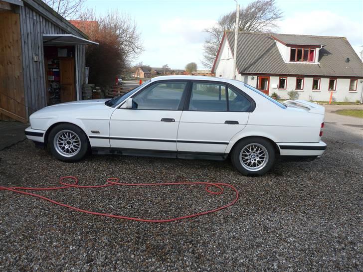 BMW 525nakket tilbag af samiD billede 9