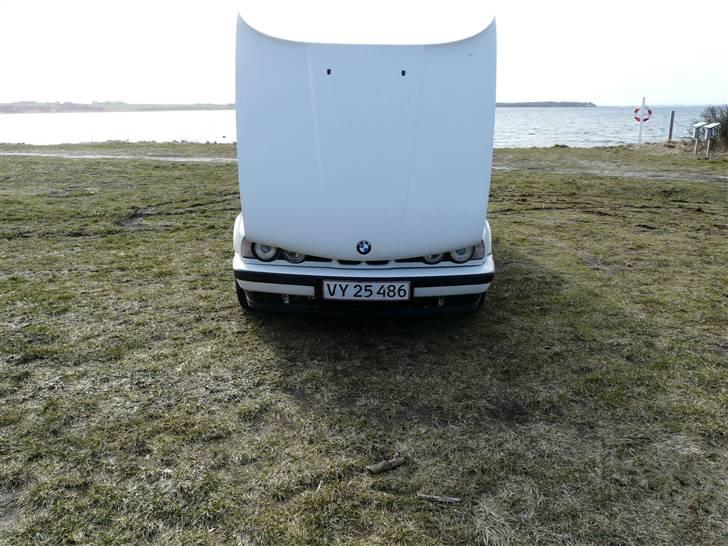 BMW 525nakket tilbag af samiD billede 10