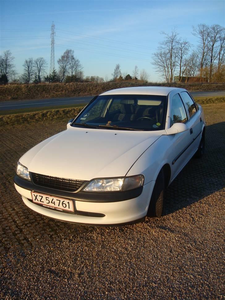 Opel Vectra B 1.6 16V billede 1