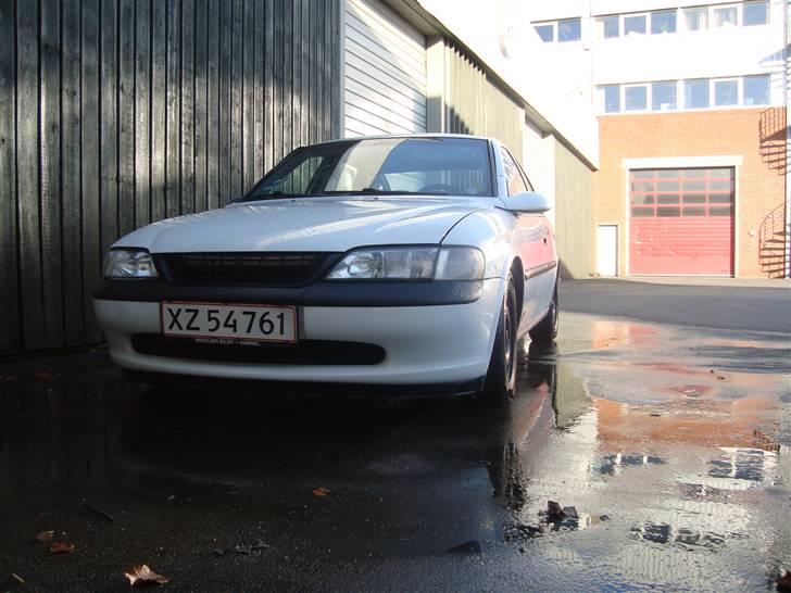 Opel Vectra B 1.6 16V billede 7
