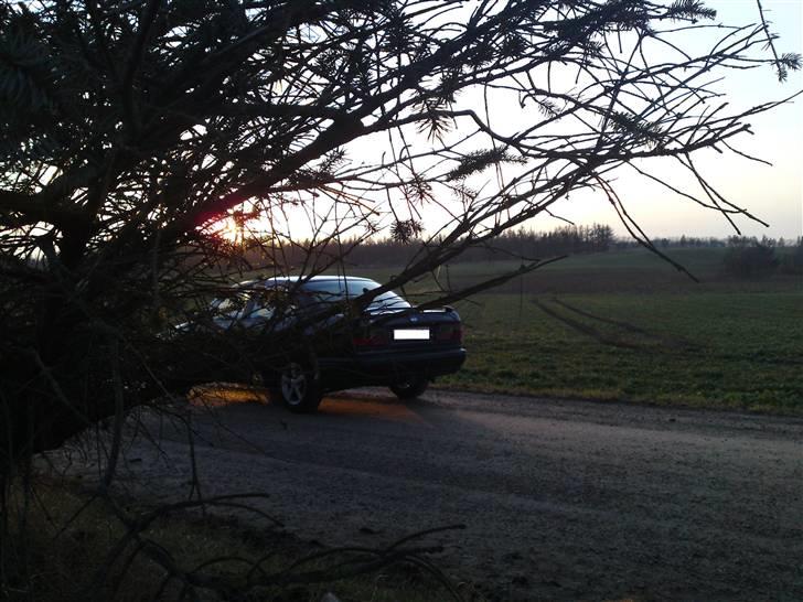 Nissan Primera 1,6 DØD:'( billede 2