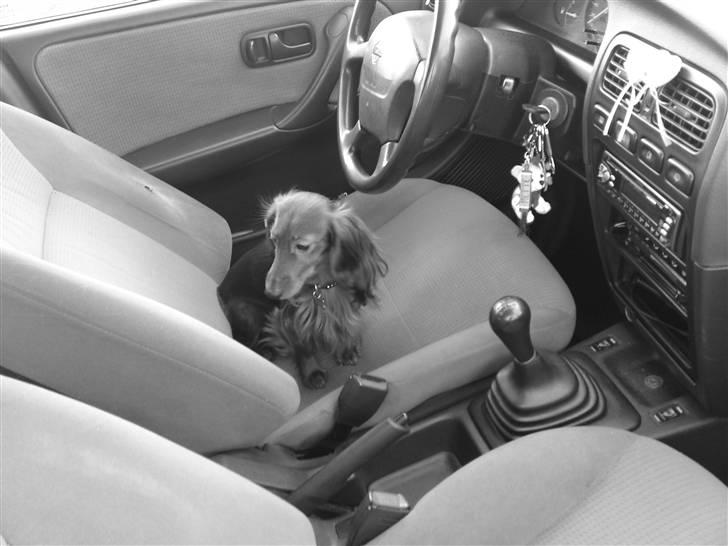 Nissan Primera 1,6 DØD:'( billede 4