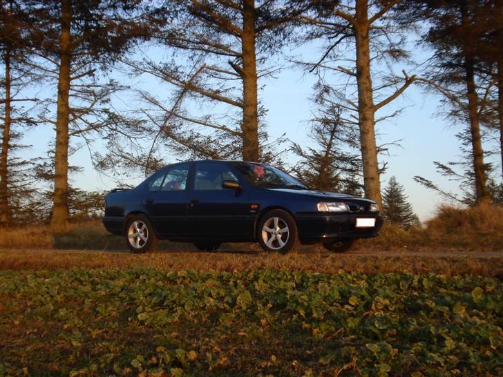 Nissan Primera 1,6 DØD:'( billede 8
