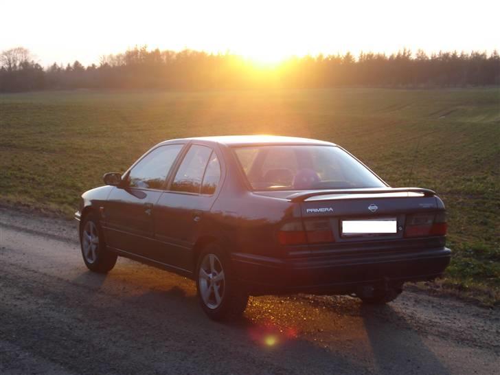 Nissan Primera 1,6 DØD:'( billede 11
