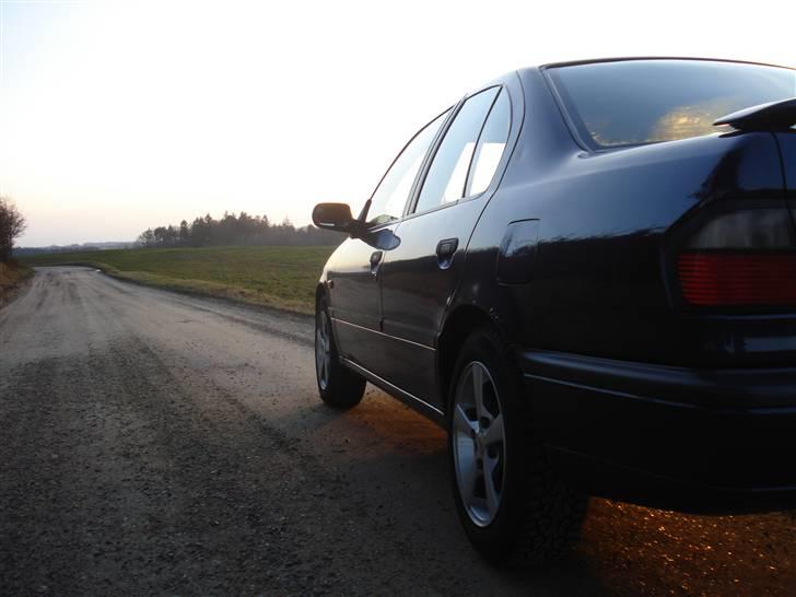 Nissan Primera 1,6 DØD:'( billede 12
