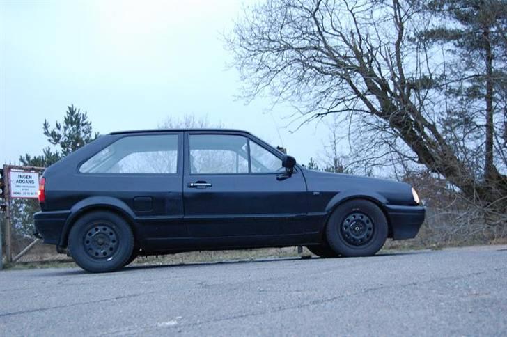 VW polo diesel (tøffe) - så er hun blevet smidt ned at med gul koni og en 60/40  billede 13