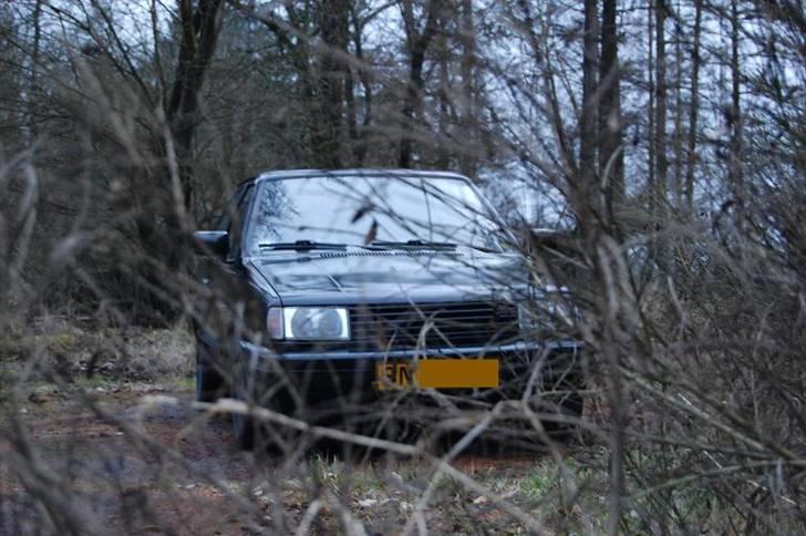VW polo diesel (tøffe) - hun prøvede at gemme sig for kamararet hehe billede 20