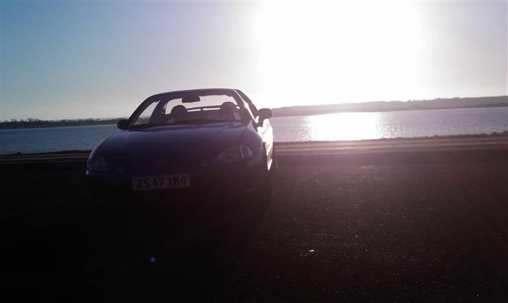 Honda delsol (solgt)  billede 8
