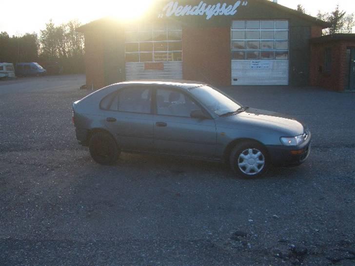 Toyota corolla xli billede 2