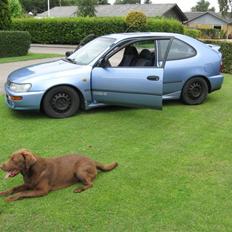 Toyota Corolla 1,6 GSI ( Solgt )